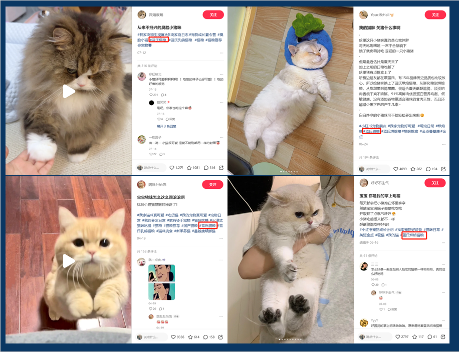 连产品的目标用户都不知道,你还要在小红书种草上花多少冤枉钱?