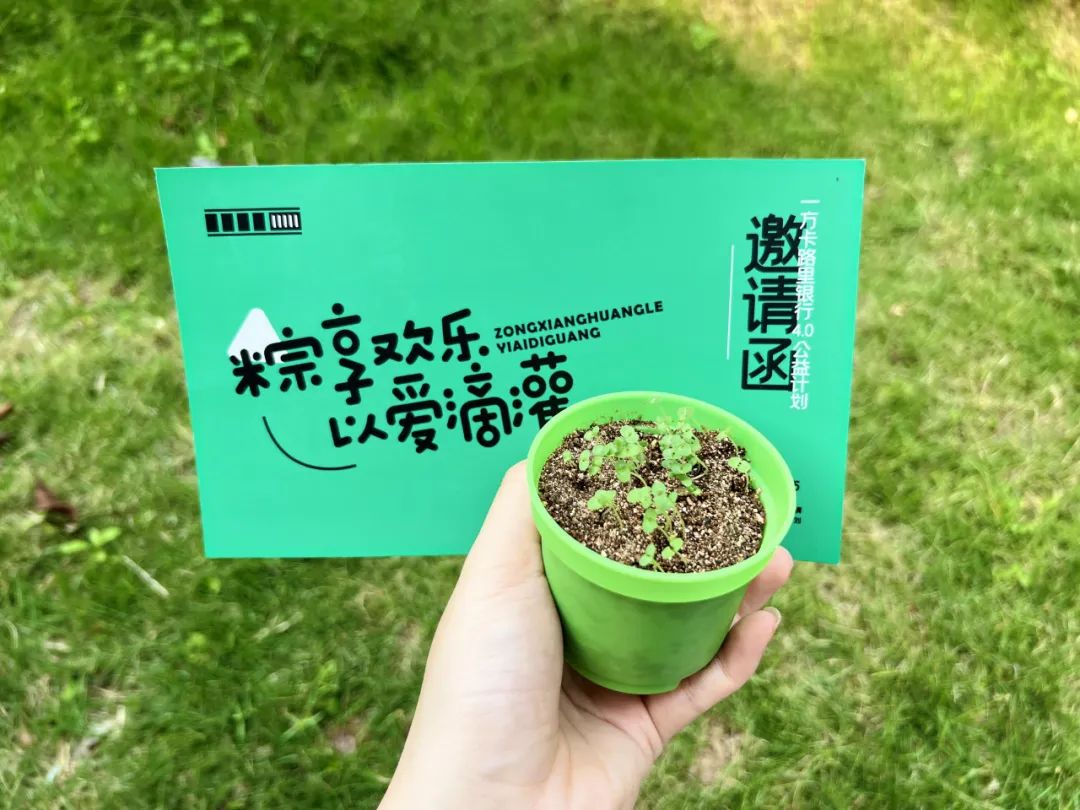 2023端午礼盒创意出炉,这届品牌越来越卷了!