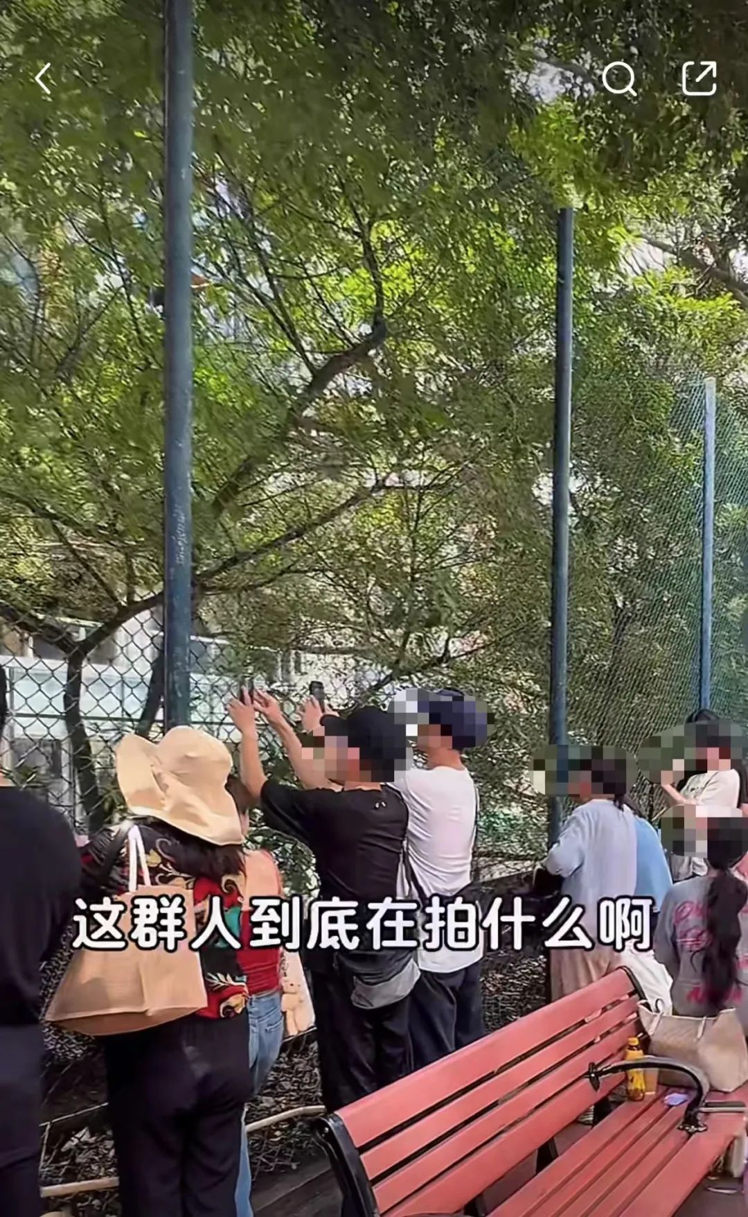 预制朋友圈火了！比小红书&ldquo;滤镜景点&rdquo;还离谱？