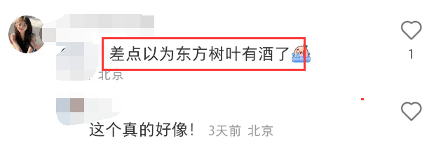 东方树叶被魔改!网友:啤里啤气