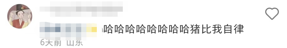 盒马的猪,把刘畊宏女孩卷疯了!