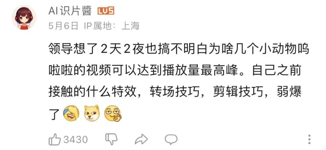 00后官号运营，正在用猫meme勇闯职场