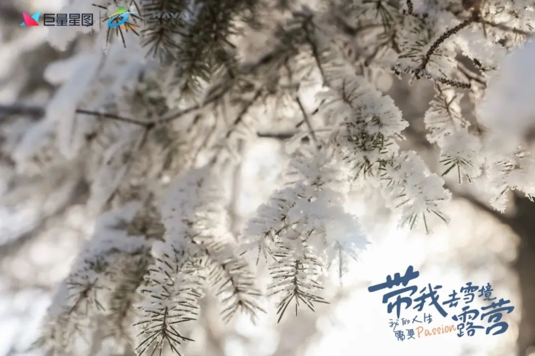 冰雪季热潮来袭,“巨量星图X吉林文旅”组了个品牌热点营销新CP
