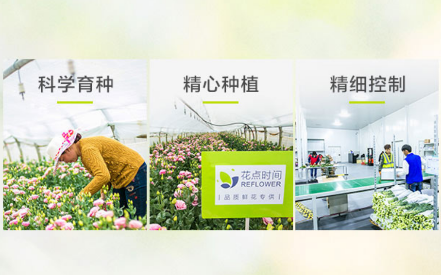 看上去很美的花店生意,为什么成了创业黑洞|七夕生意经