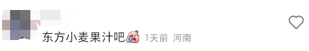 东方树叶被魔改!网友:啤里啤气