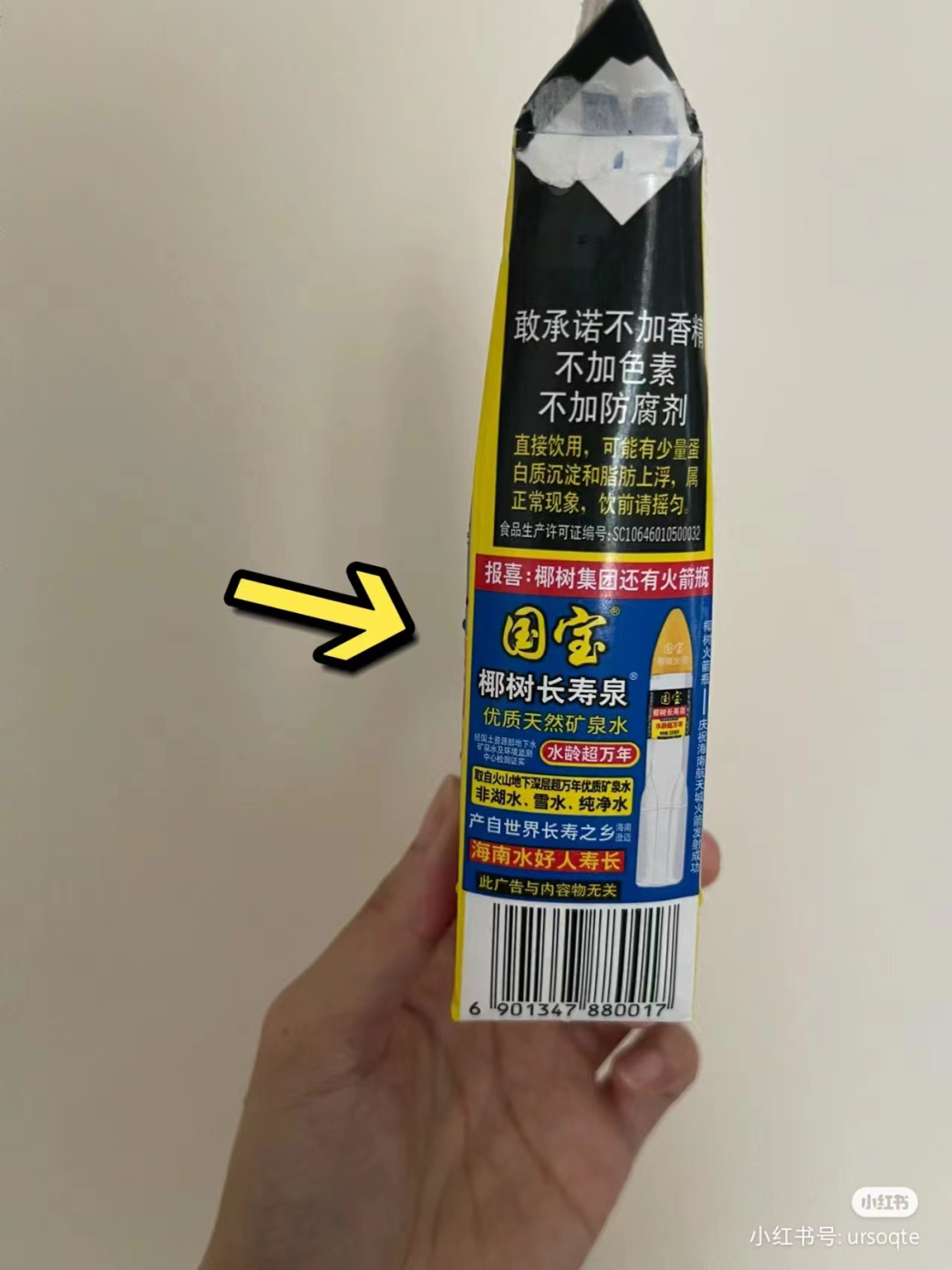 曝光椰树“黑料”,被这新晋网红笑不活了!