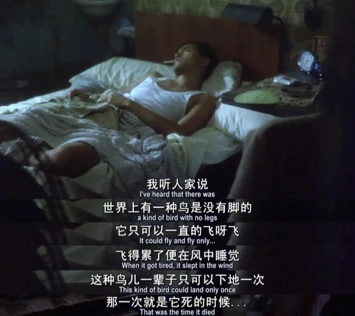 王小卤拍王家卫风广告，主角却是一只鸡......
