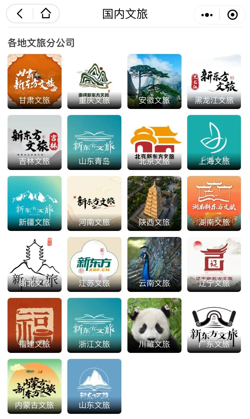 俞敏洪的&ldquo;三驾马车&rdquo;即将连点成线