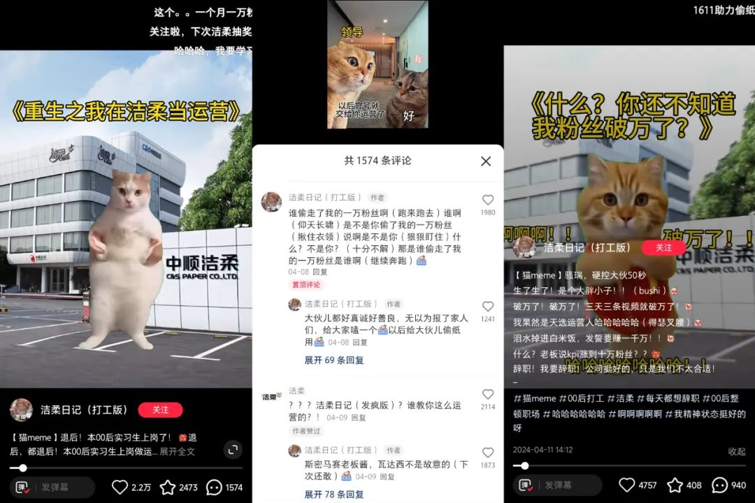 在小红书2天涨粉2万，&ldquo;猫meme&rdquo;成流量密码？