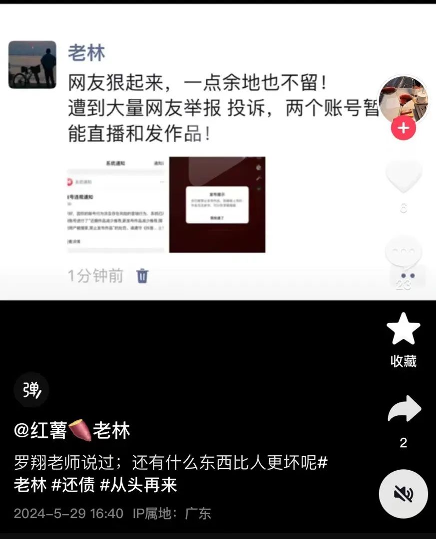 钟薛高,缺一个“罗永浩”