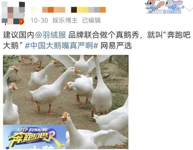 “中国大鹅”火了!双11最强带货王,竟然是网友?