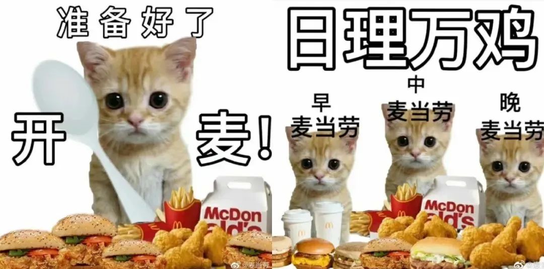 “麦门文学”火了,越看越上头
