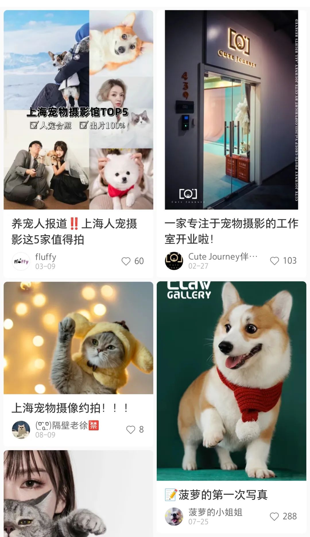 一套宠物照上万,铲屎官的钱太好赚?