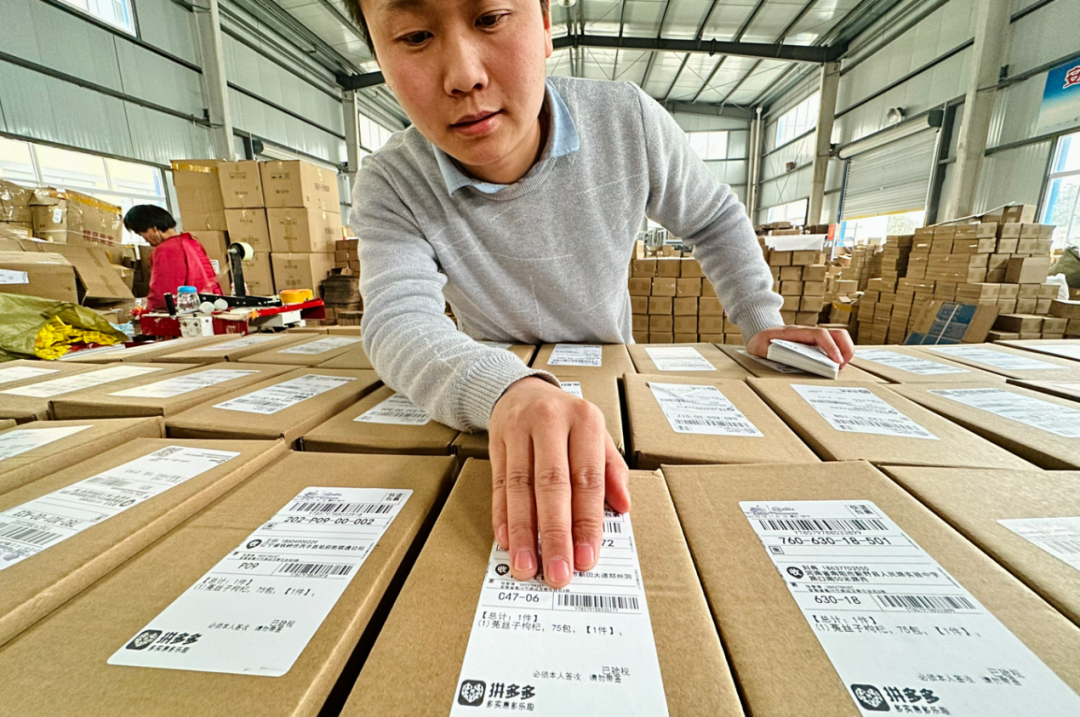 探秘亳州模式:花草茶产业在拼多多狂奔的5年