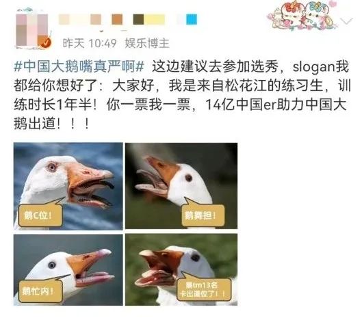 “中国大鹅”火了!双11最强带货王,竟然是网友?
