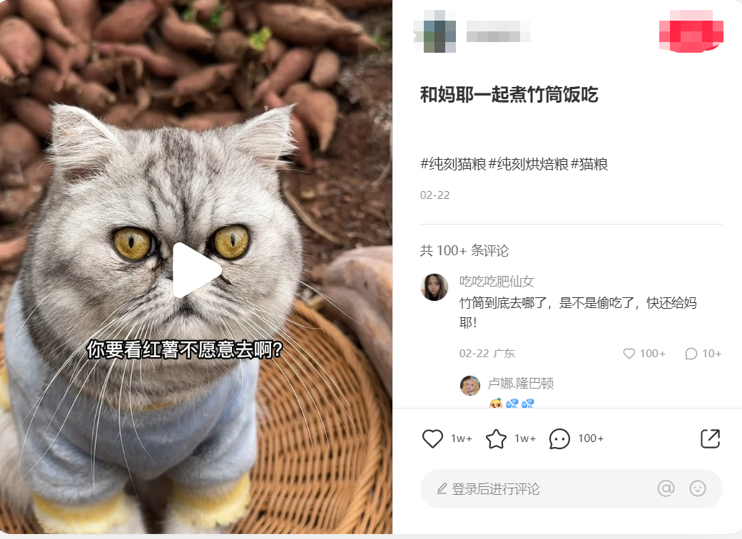 长期主义做品牌OR上线即能卖货,不同运营目的下分别如何进行新品起盘?
