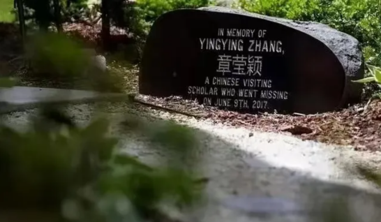 从直播间到热搜榜,网友从没有忘记这位老父亲