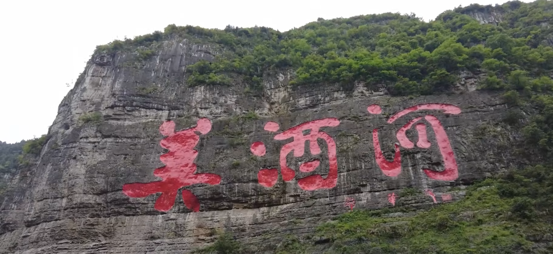 习酒“脱茅”这一年:异军突起,也有隐患