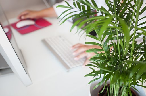 职场telework-5046230__340.jpg
