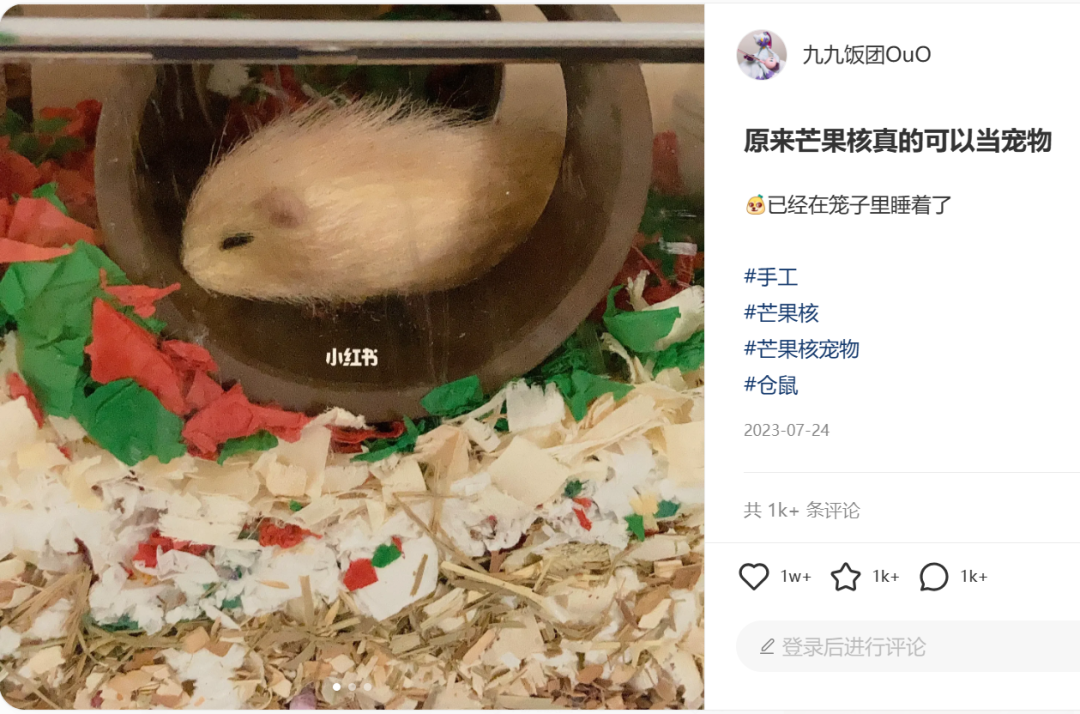从“养芒狗”事件,看双11如何打造小红书低门槛营销爆款?