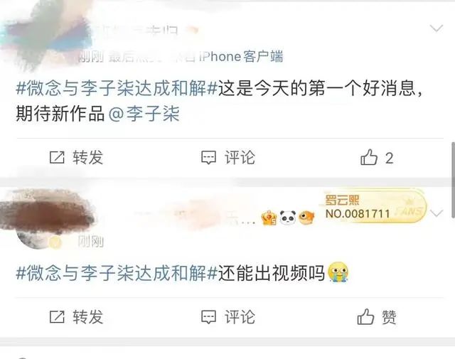李子柒与微念和解!停更500多天回归还能走多远?