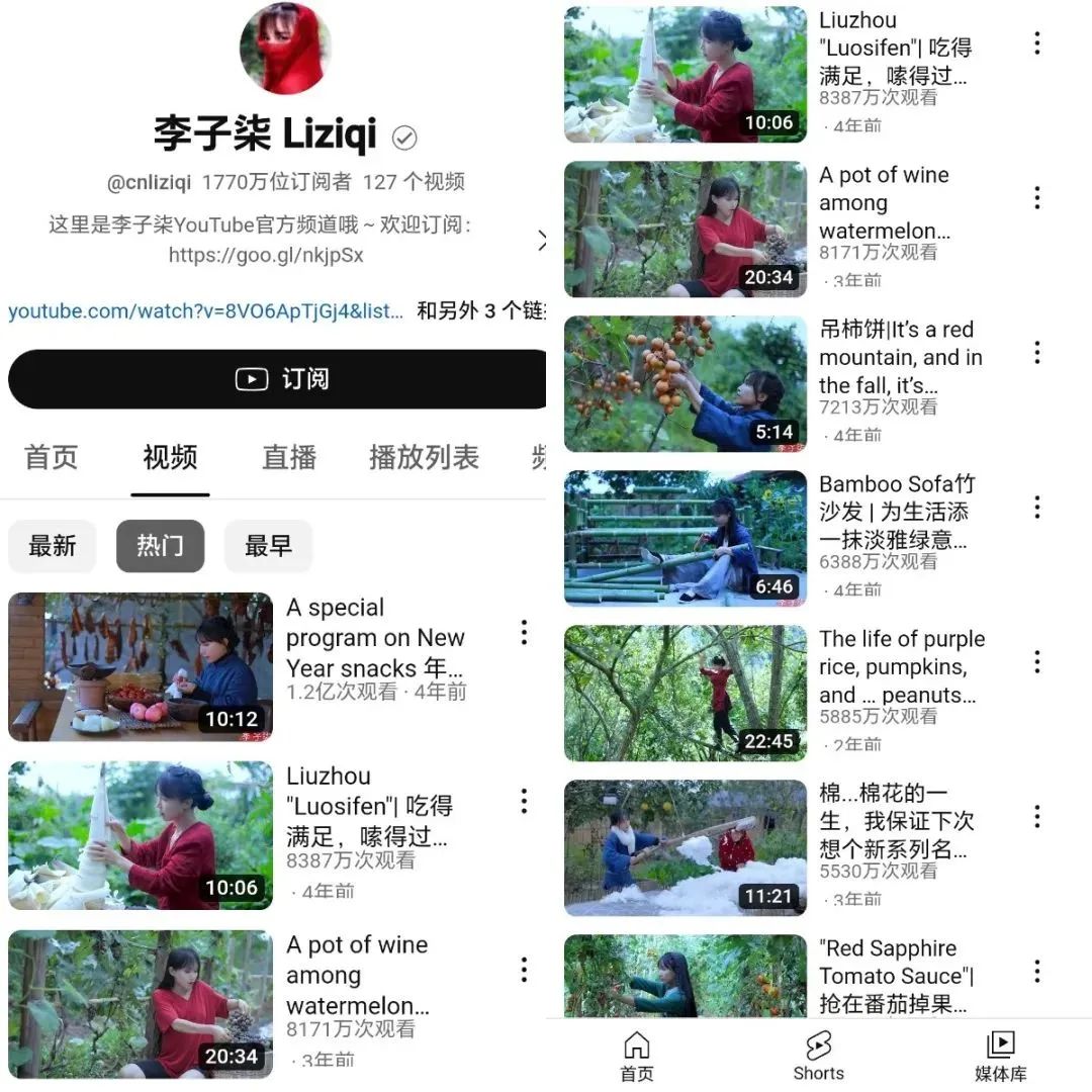 中国第一网红,销声匿迹