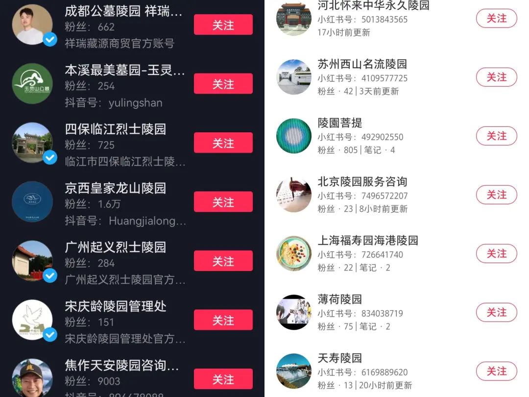 这届90后,在直播间选墓地