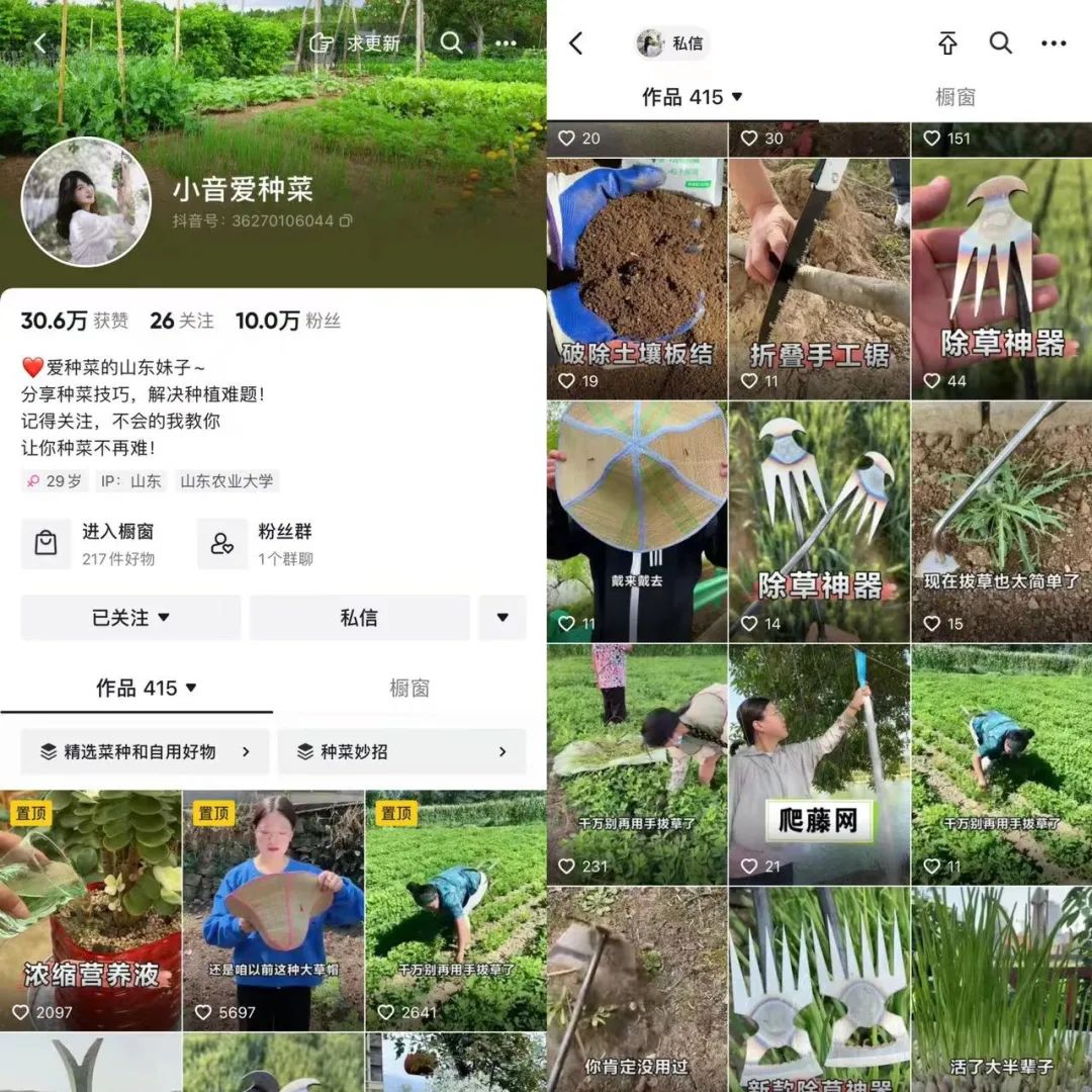 我在抖音卖农具,热销10万+