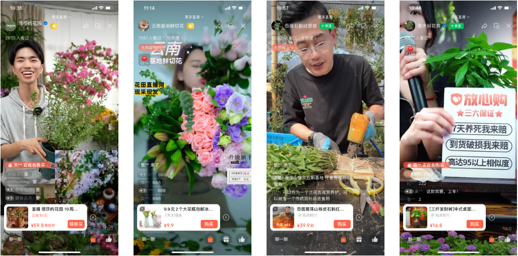 双11回归理性，视频号哪些品类还有增量机会？丨双11前瞻