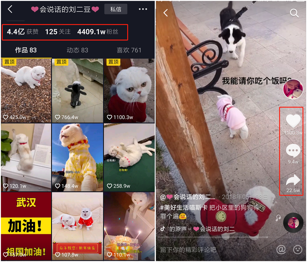 会说话的二豆02_副本.png