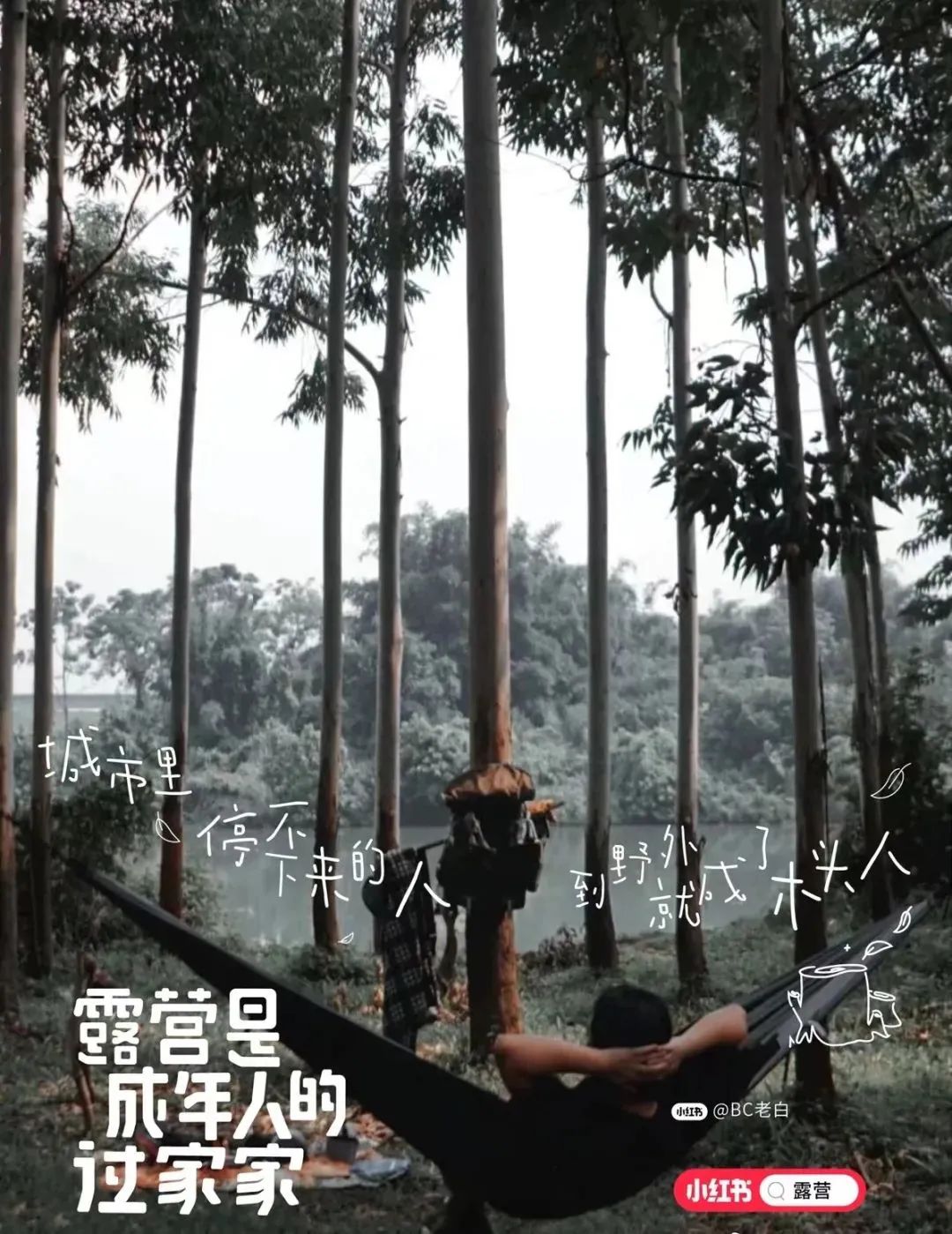 2022年，我心中最好的22句文案