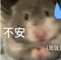 全网播放量超5亿,这届年轻人“偷感很重”