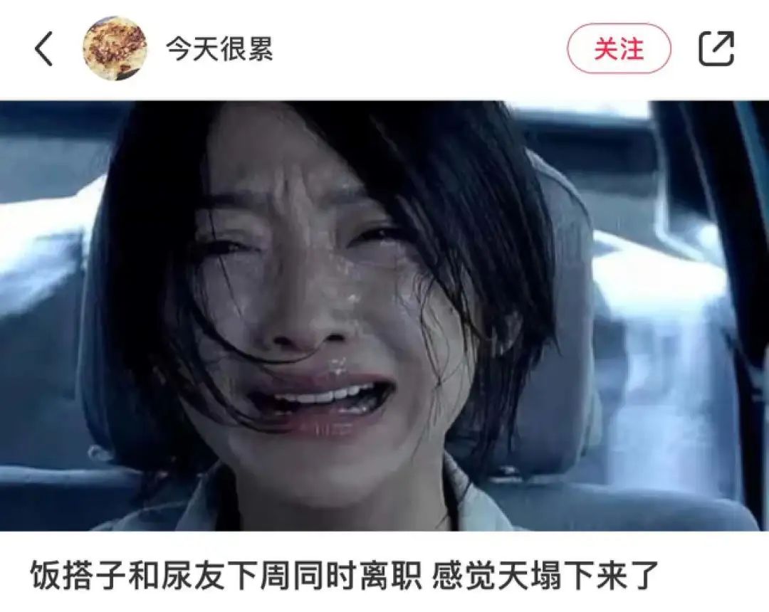 这届年轻人可以不谈恋爱,但必须要找搭子