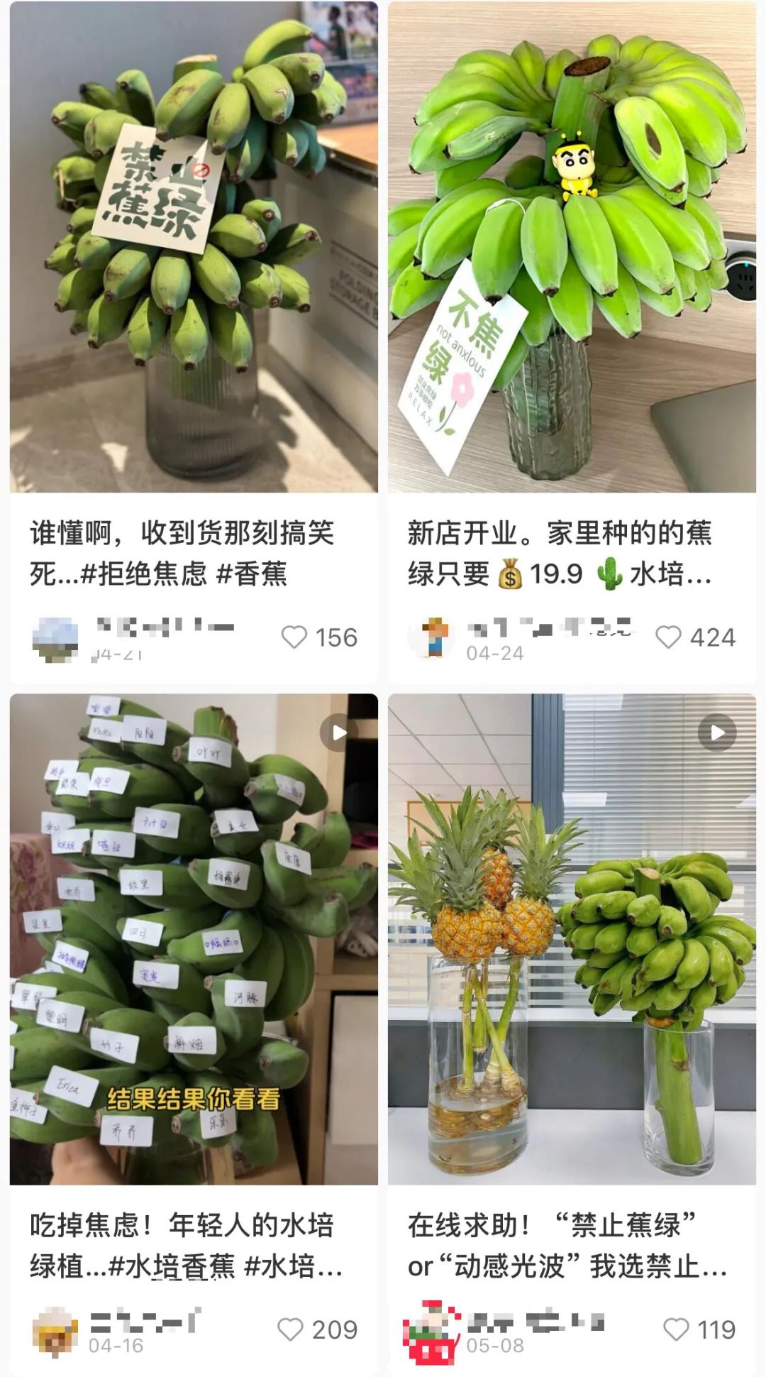 一串普通香蕉,为何爆红网络?
