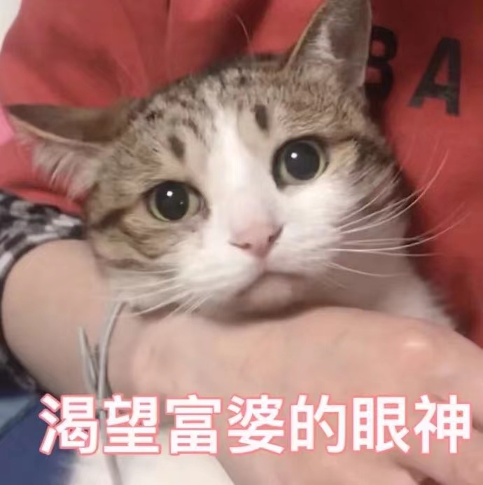 微信图片_20210406235801.jpg