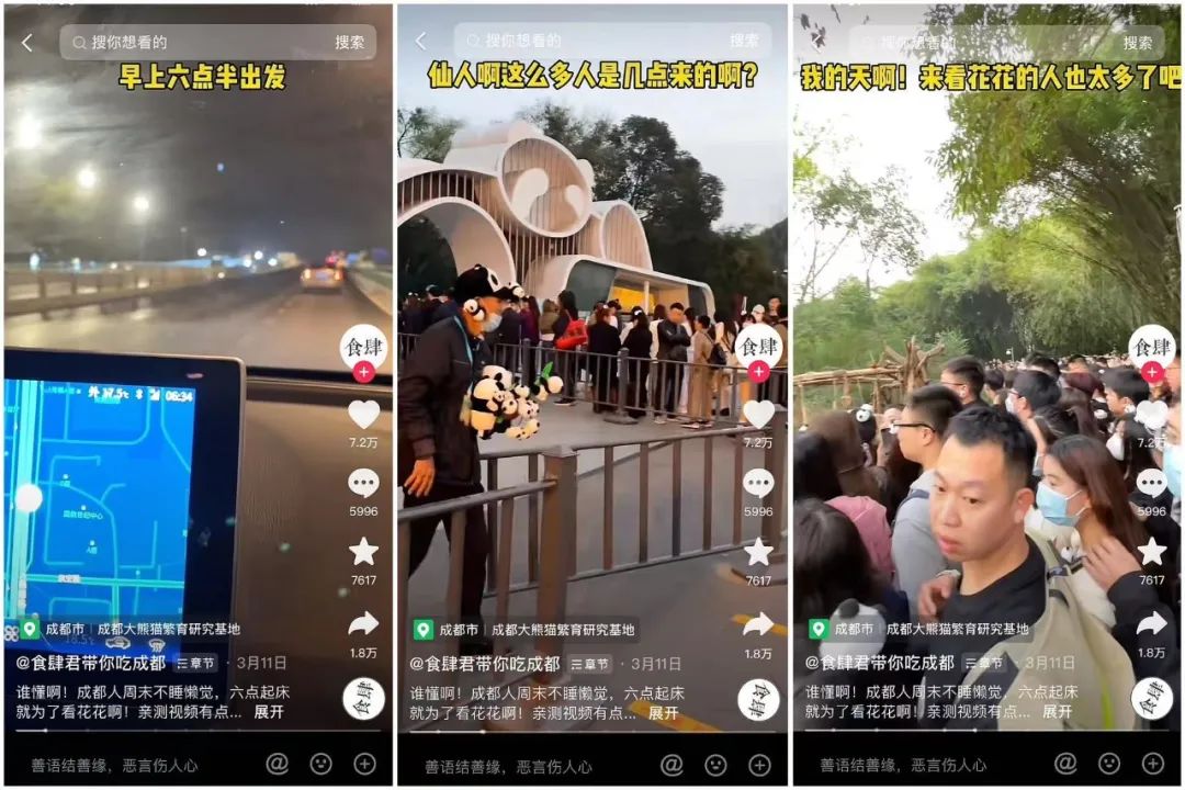 播放量破600亿,抖音又现新顶流