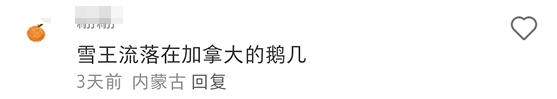 蜜雪冰城“私生子”曝光!网友:雪王塌房了
