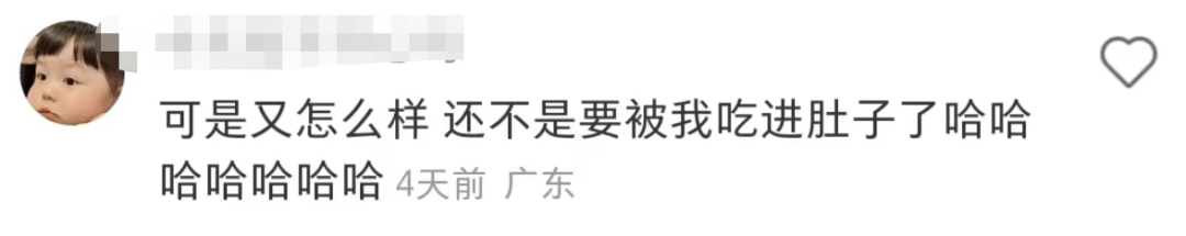 盒马的猪,把刘畊宏女孩卷疯了!