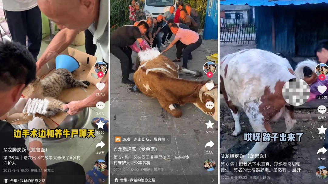 力压@一笑倾城,“电子女友”成为抖音新顶流