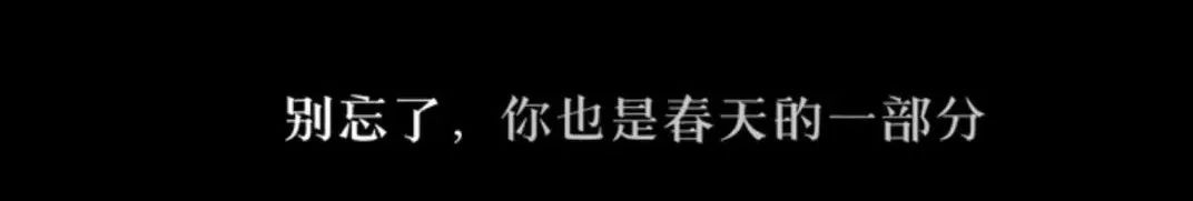2022年度十大广告片