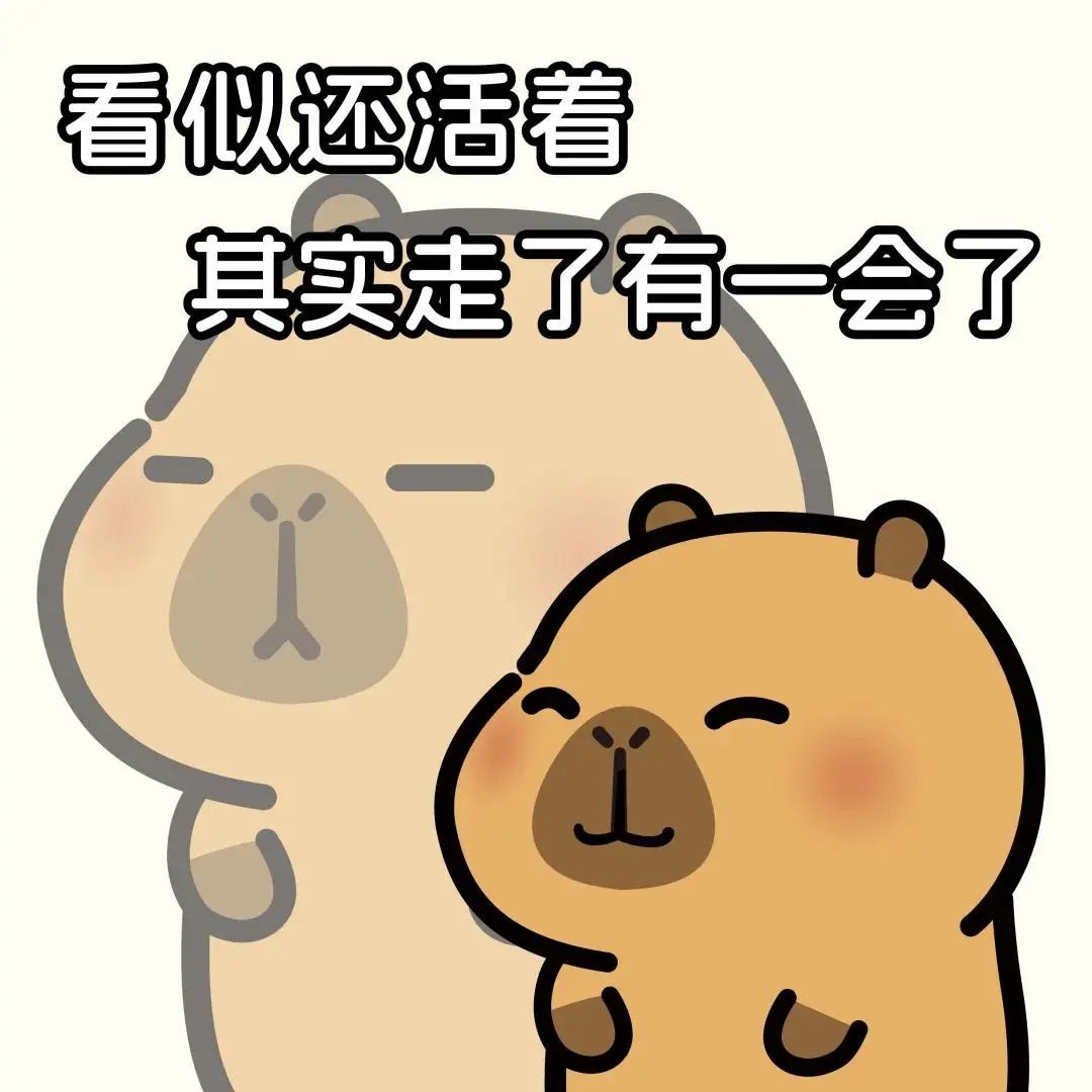 2024十大IP:凭什么拿下年轻人?