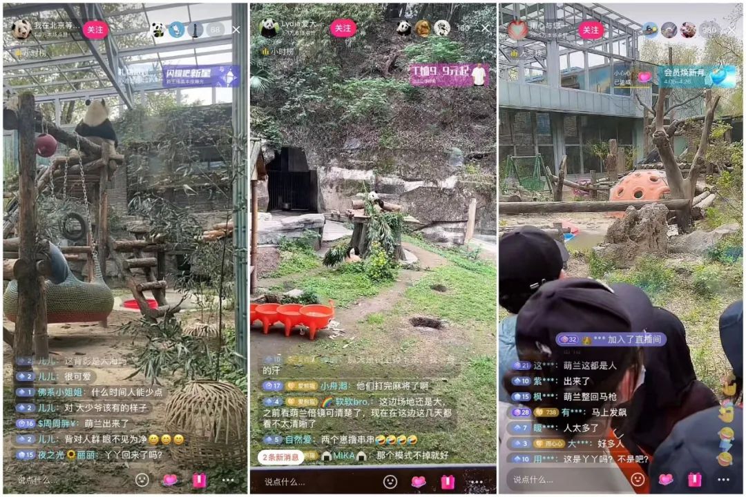 播放量破600亿,抖音又现新顶流