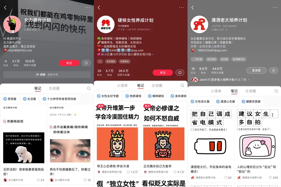 从性科普到修马桶换灯泡,谁在互联网当“电子妈妈”