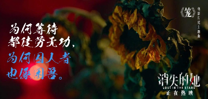 《消失的她》, 文案毒辣!
