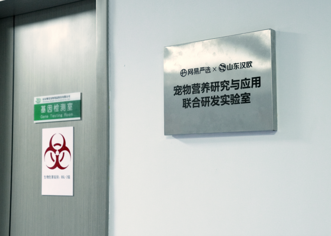 七年之痒,网易严选如何迈过