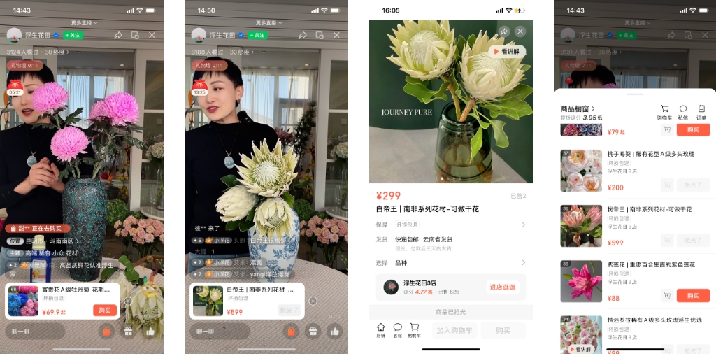 90%的复购率！这个品类正在视频号悄然崛起丨双11专题