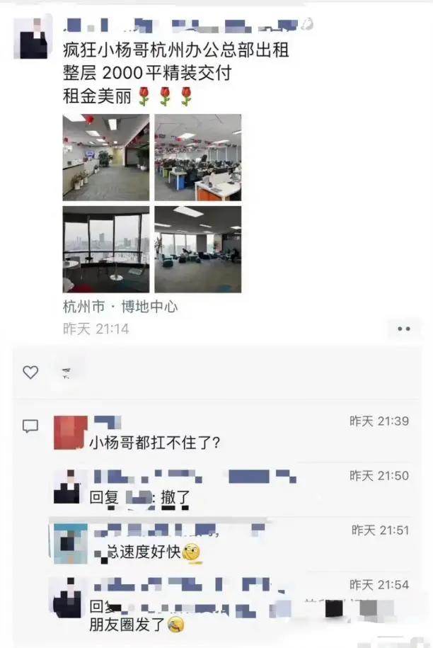 总部悄悄出租,小杨哥也扛不住了!