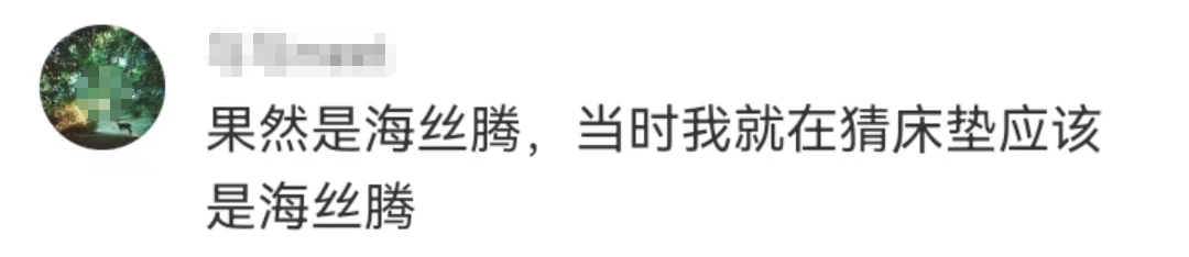 大S的百万“床垫”,惊呆网友!