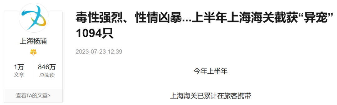 异宠，一场年轻人的单向奔赴