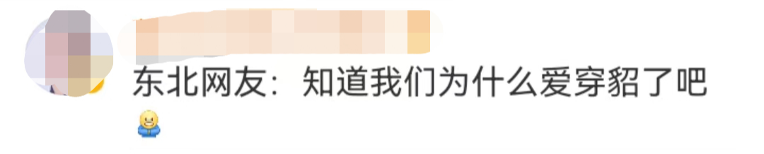 波司登“脆薯片”上热搜,加拿大鹅笑了